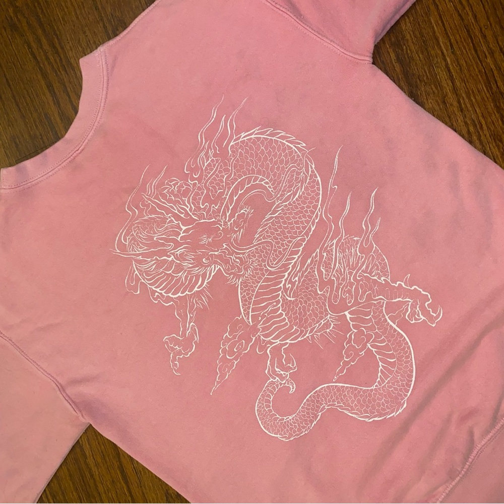 Urban Outfitters BDG Y2K Dragon Graphic Pullover Crewneck Pink